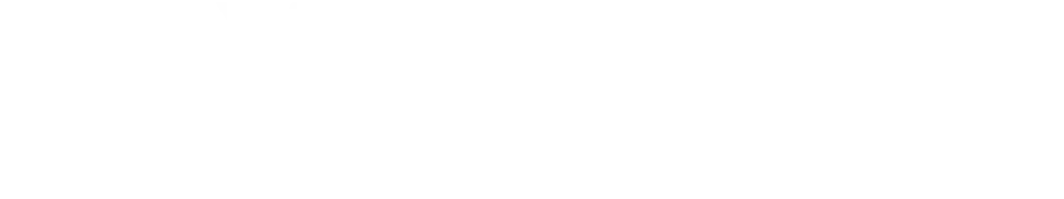 Texas City Public Adjuster Logo Wh